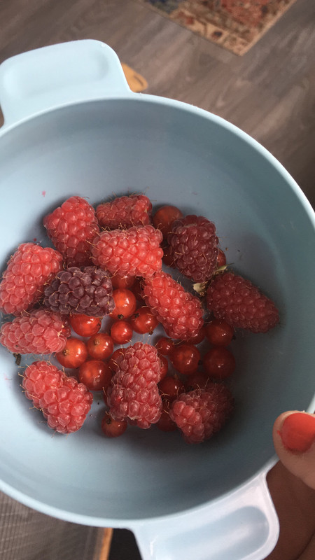 53505396-8DBA-439D-80CE-C4CA71FD1FA9