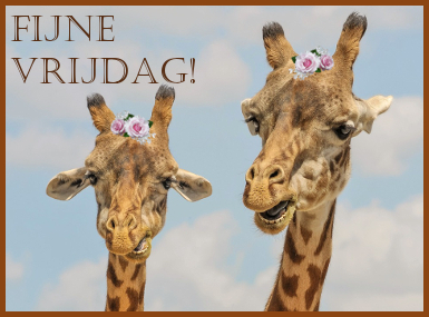 vrijdag-x