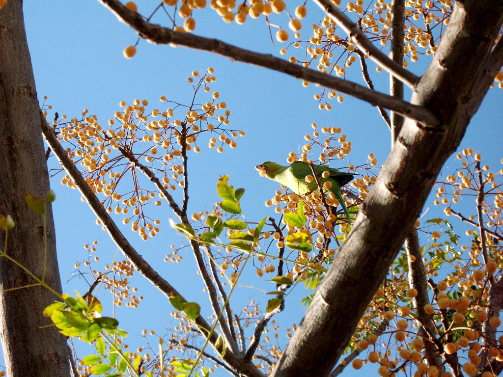 IMG_20220129_145447_676