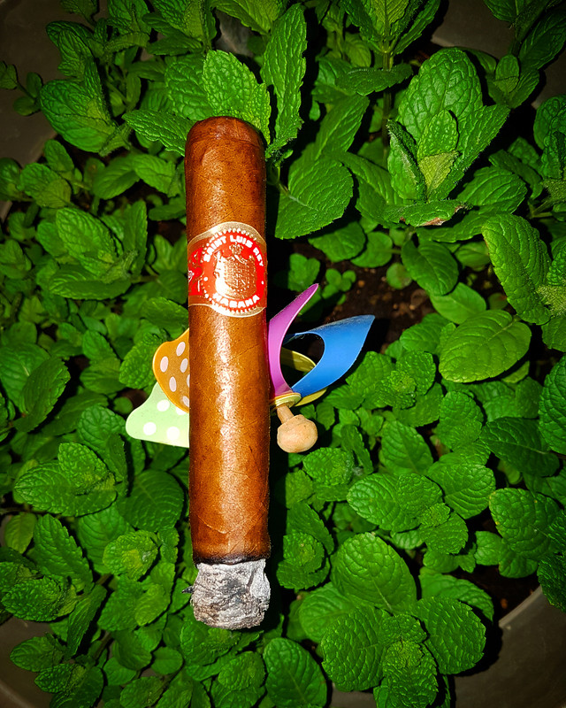 IMG_20190309_222928_162