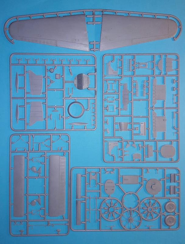 67829166-2539401936137527-60755977297513