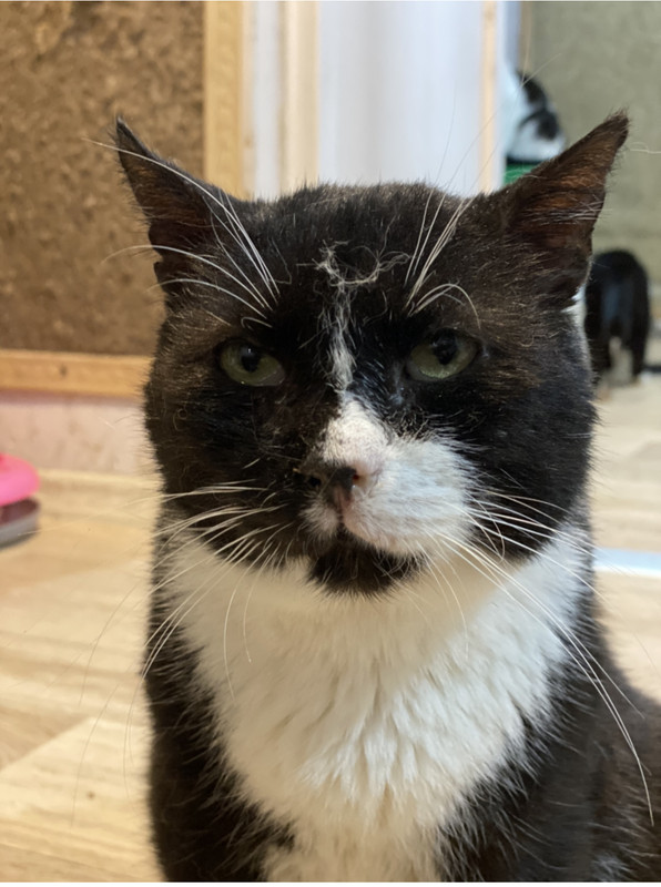 69ABA35C-893F-418A-86A6-F87540BBDC75