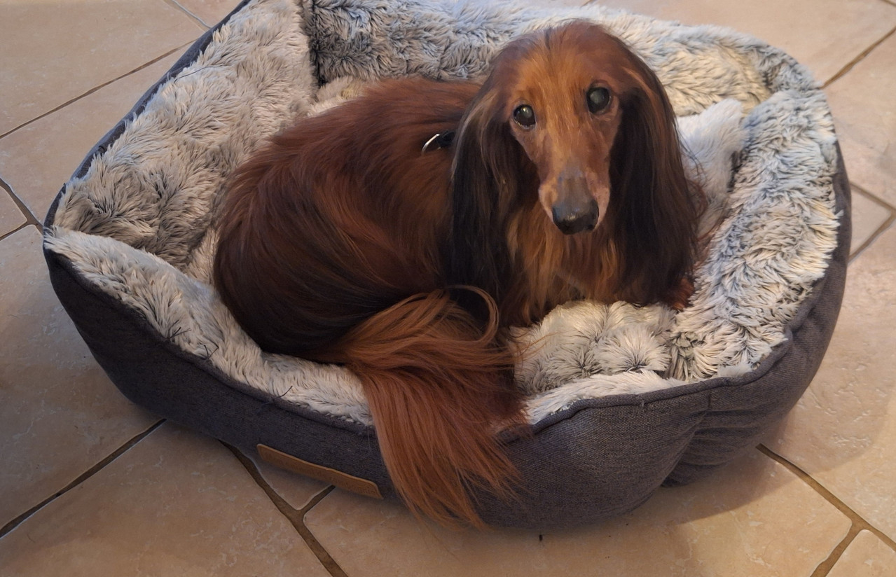 [Image: 20251120-155113.jpg]