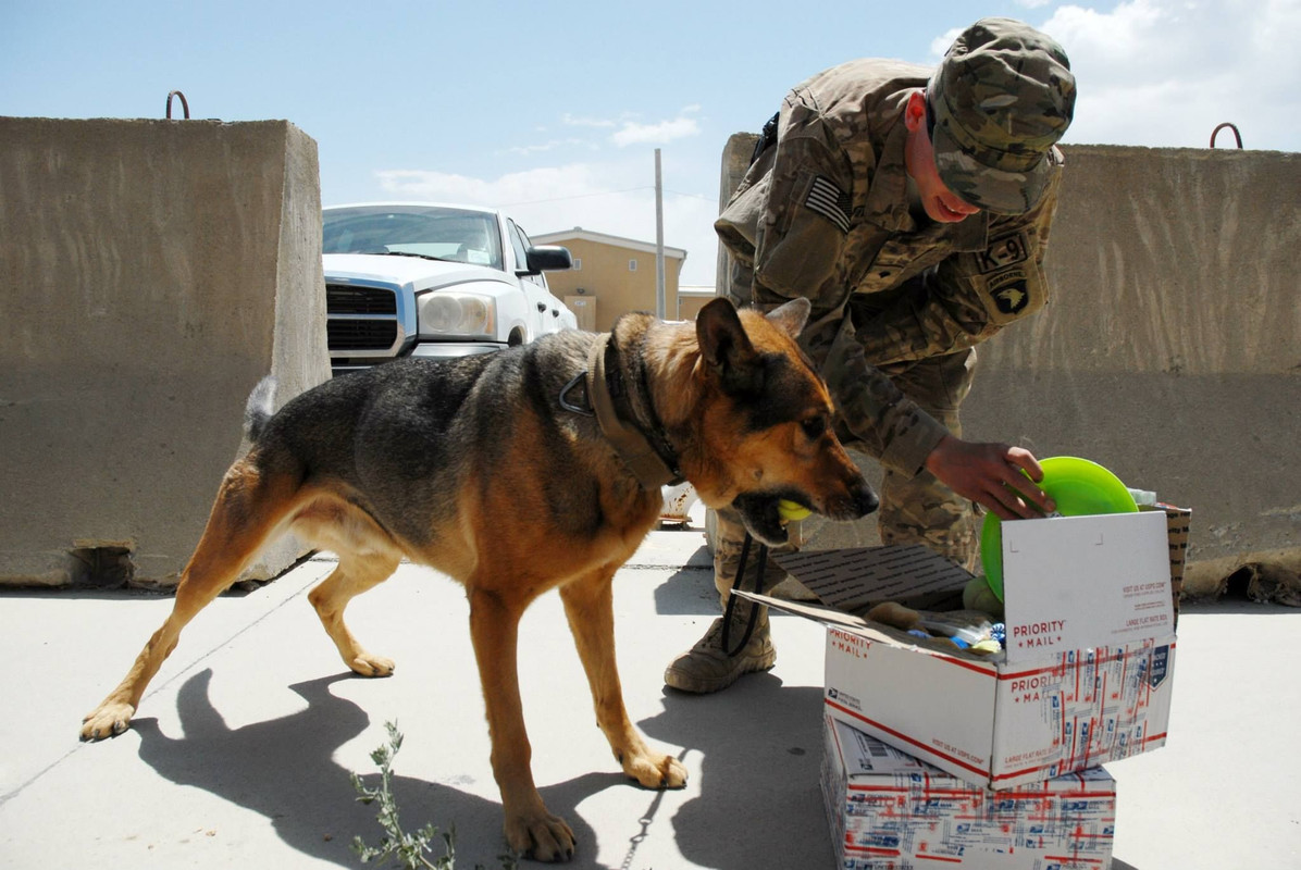 11037494_843166405780331_3132865144623288288_o