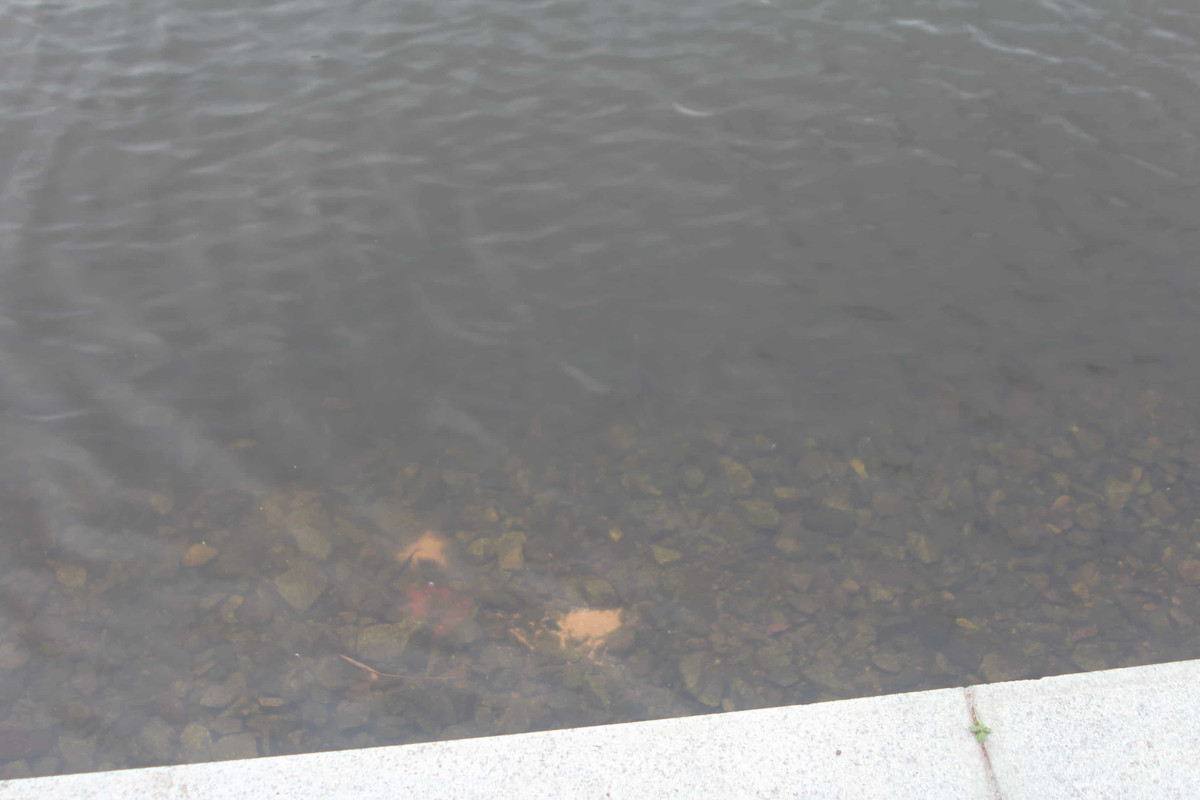 IMG_8940_новый размер