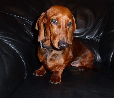 [Image: P1050706.jpg]