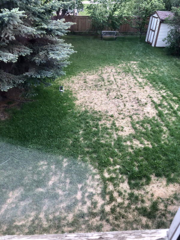 D04BF13E-DD63-44F3-8FC8-21E46C68F27A