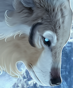 [Image: satuavv.png]