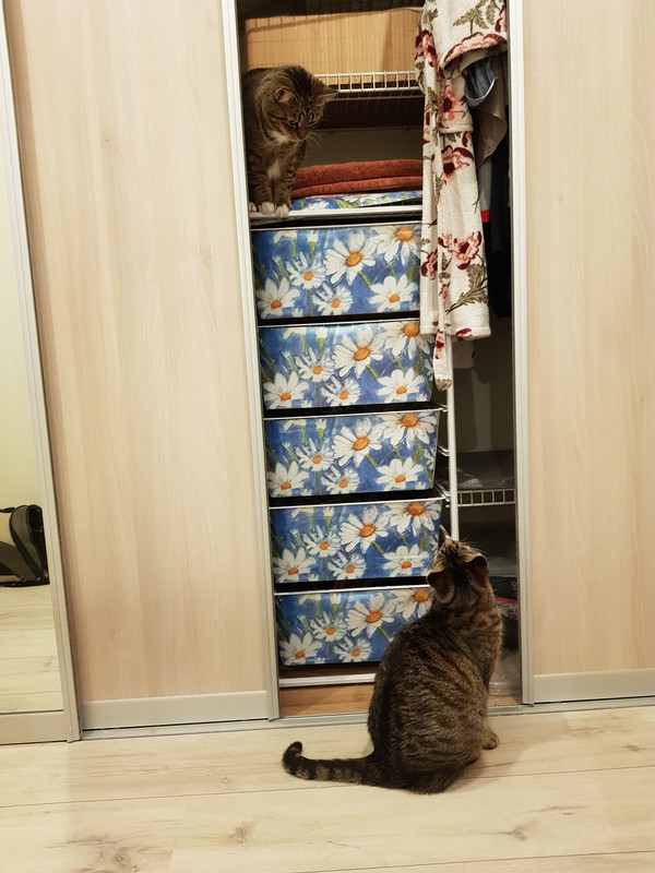 20191129-092901.jpg