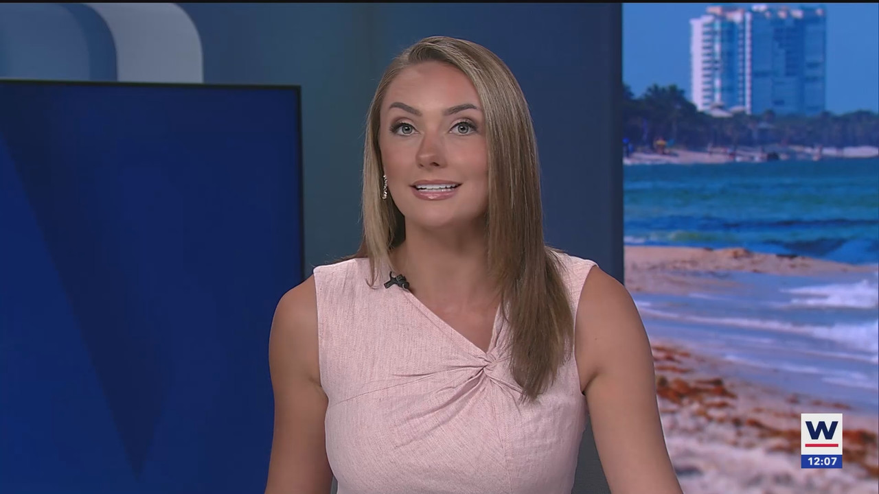 08.13 - 17.00.00 - The WINK Noon News  ᴺᵉʷ. Midday news update..ts_snapshot_13.44.947