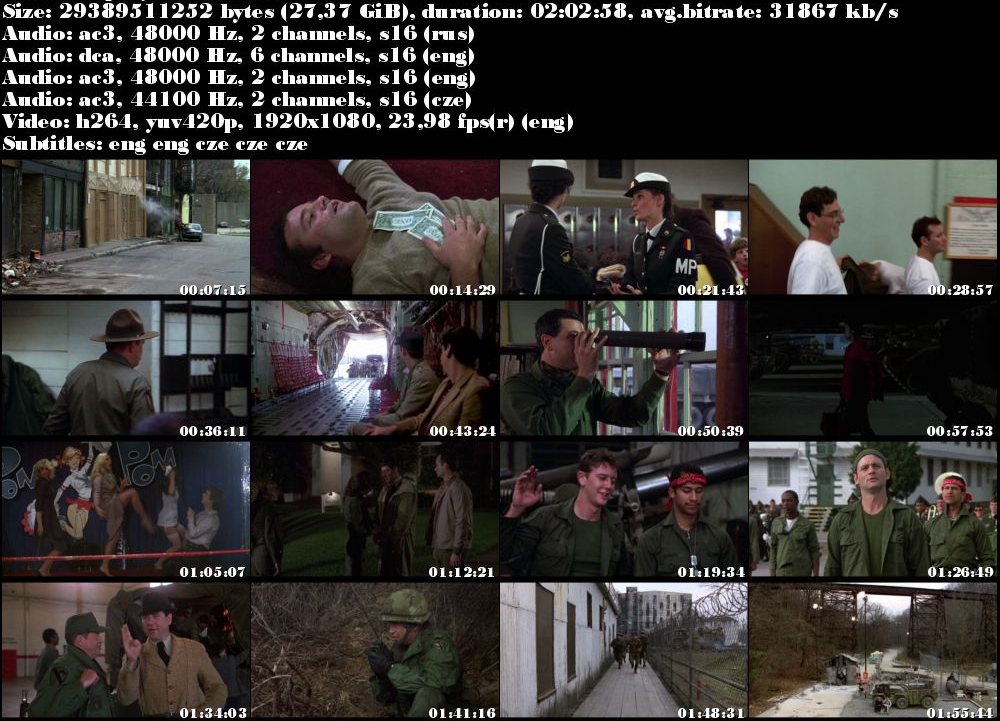 Lampasy / Stripes (1981)