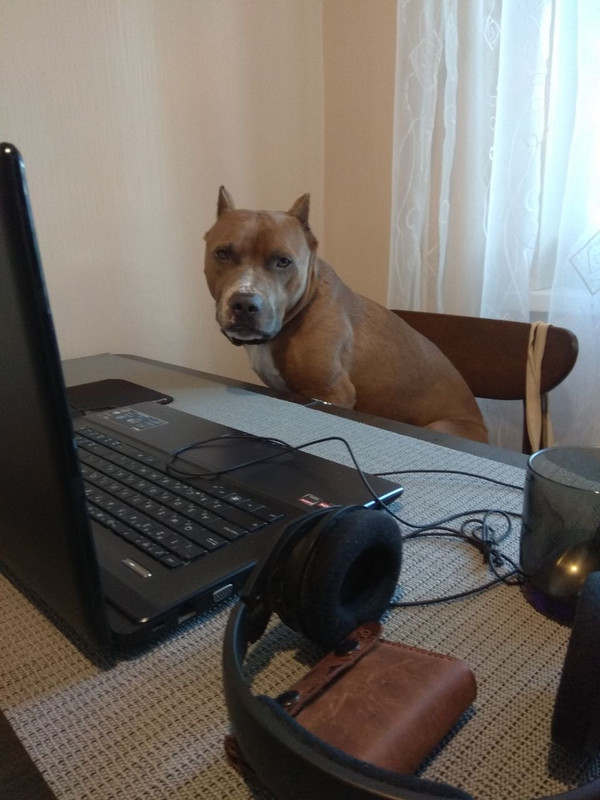 C8AE7050-7BC4-4B30-BE1E-F07A8AF33586