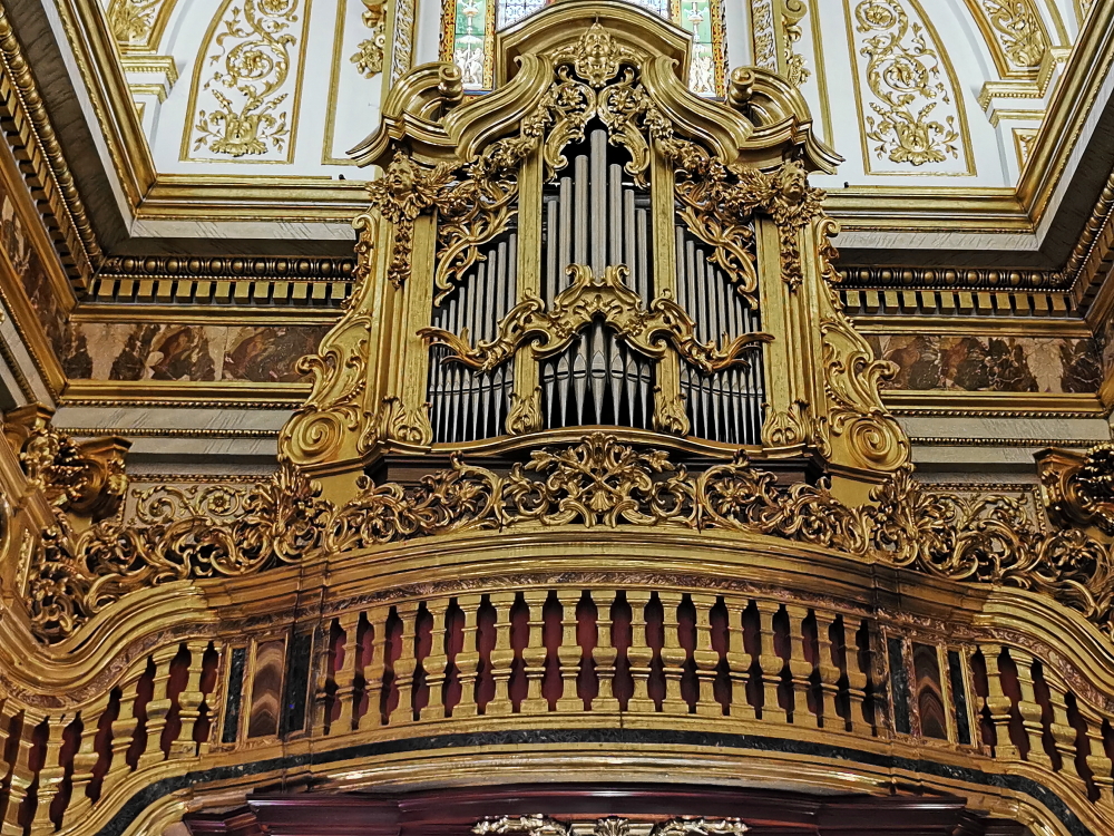 https://i.postimg.cc/gcM0K0DX/IMG-20221110-102624.jpg