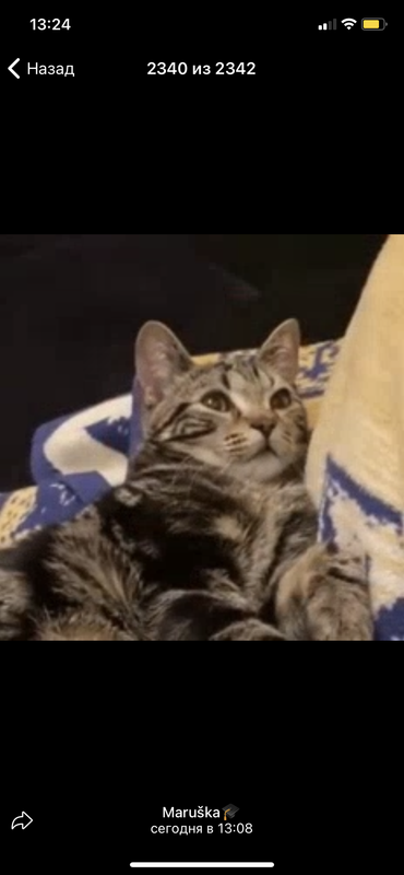 8E3A59DC-AC05-4632-9117-BB71A502E5C6