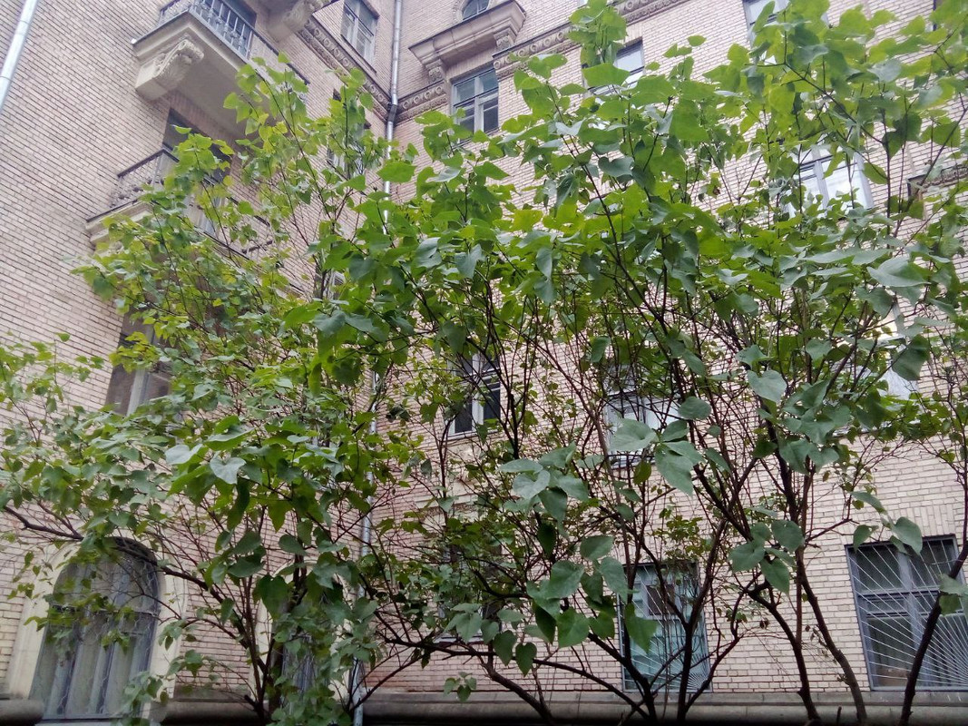 photo_2024-11-12 4.59.16 пп