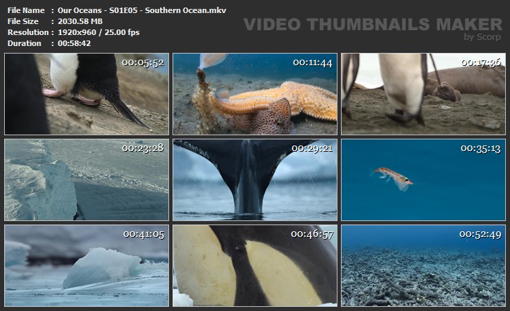 Our Oceans - S01E05 - Southern Ocean.mkv