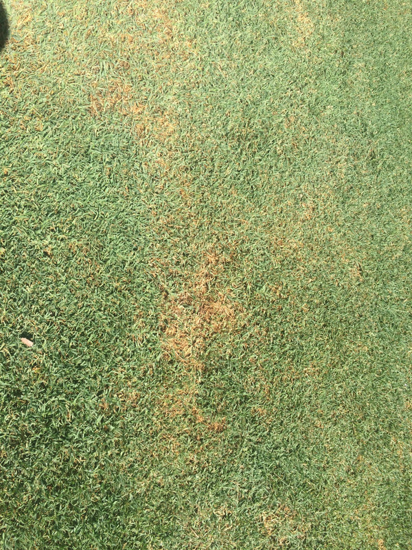 9D8A2829-3282-4E8C-8ADF-53BFB3678372