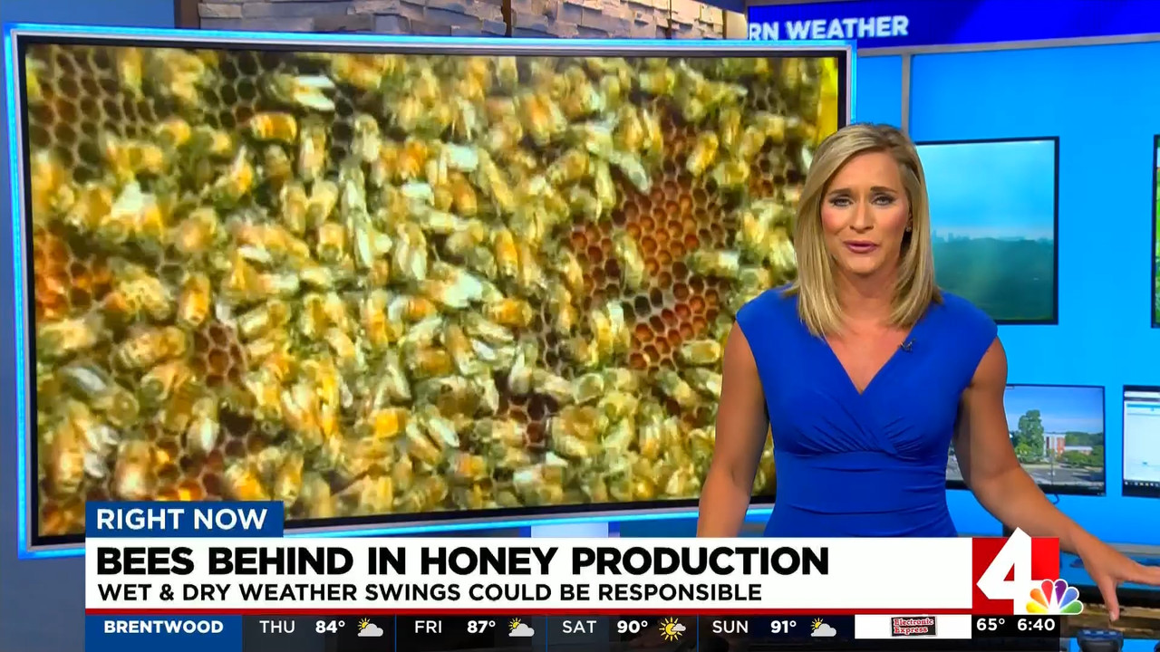 18 June - 12.00.00 - News 4 Today 6 00 a.m. 'News 4' covers events that....ts_snapshot_00.48.16.097