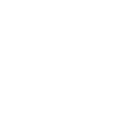 DZesta Logo