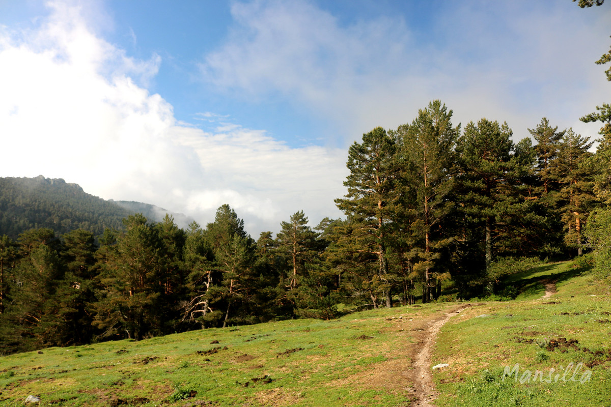 Navacerrada-Cercedilla-01