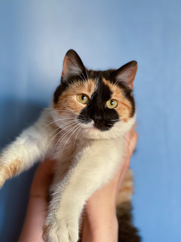 31DDDB6E-2670-4C45-A331-6F6F46A5B27B