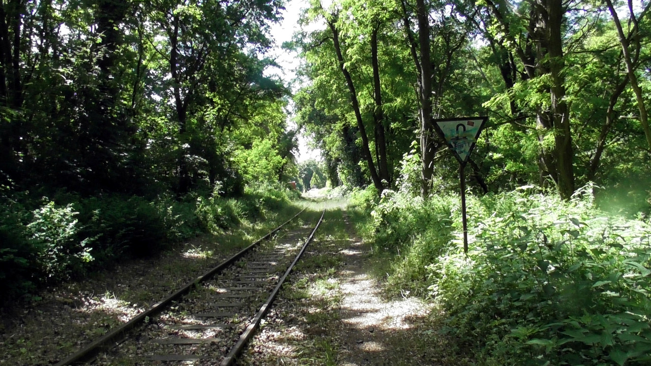 S1470188