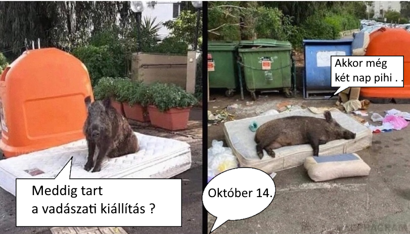 coca.jpg