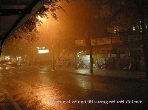 [Image: PIC48674.jpg]