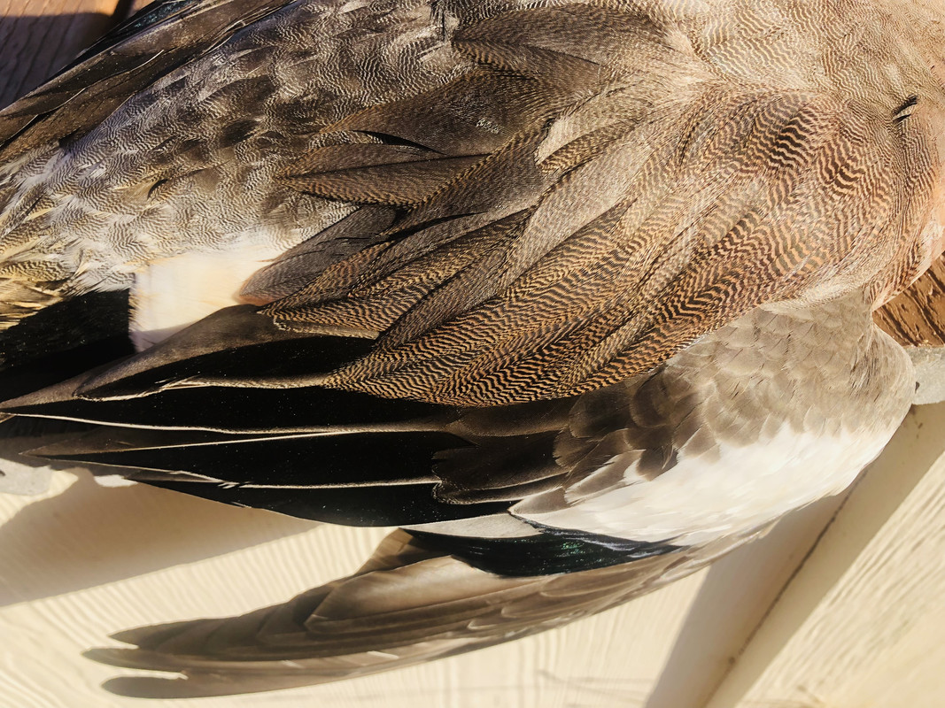 841D1C36-B8E8-436B-A940-20D3984CD1C4