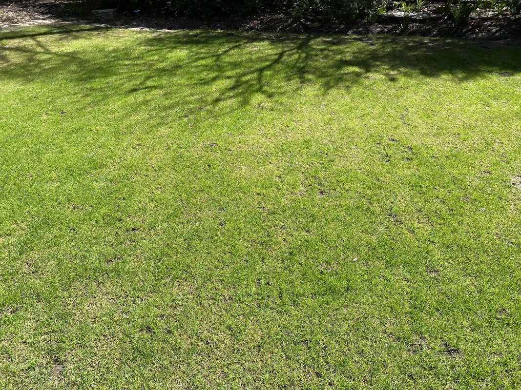 F69CC838-E98F-49E8-96C7-F726187AC288