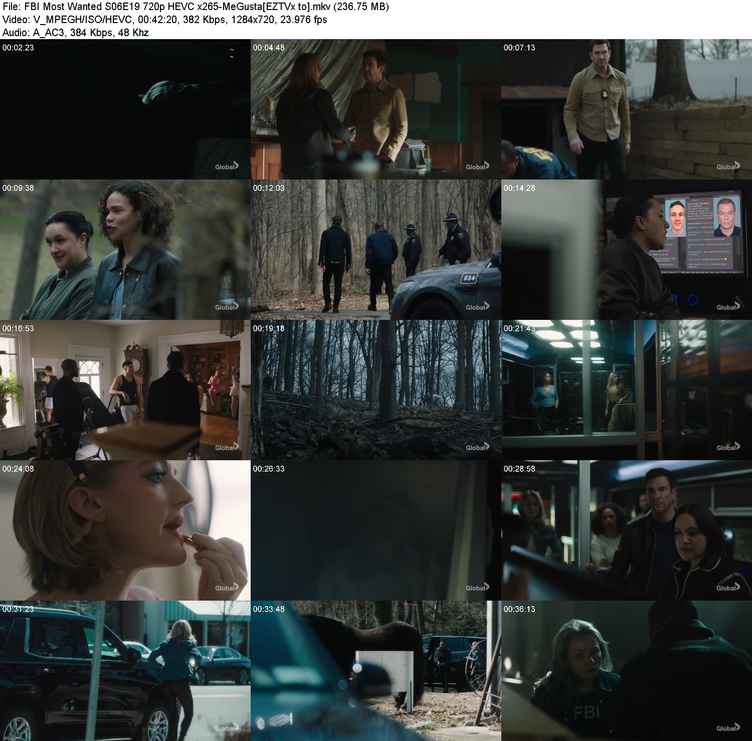 [Image: zbn4s86ebeg8.jpg]