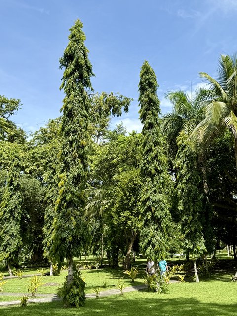 [Linked Image from i.postimg.cc]