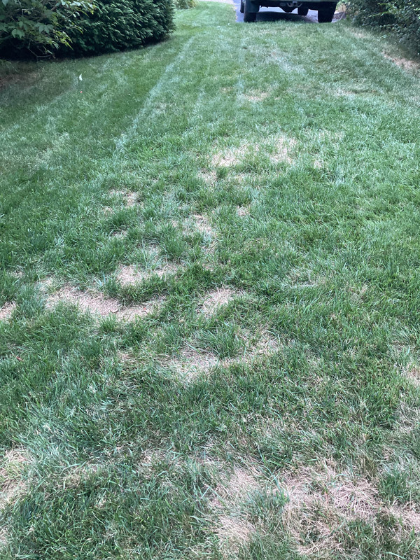 40A15C01-33A3-4324-8D65-2CAA2A8A0070