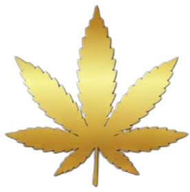 Picsart 26 03 12 15 17 21 098