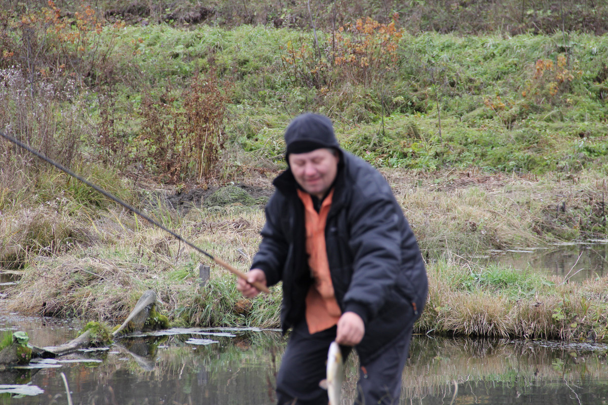 тенкара 2013 376