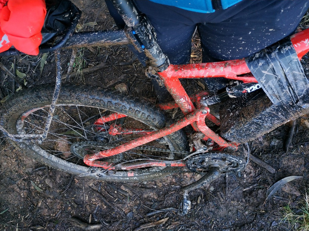 2019-02-03 12.56.12.resized