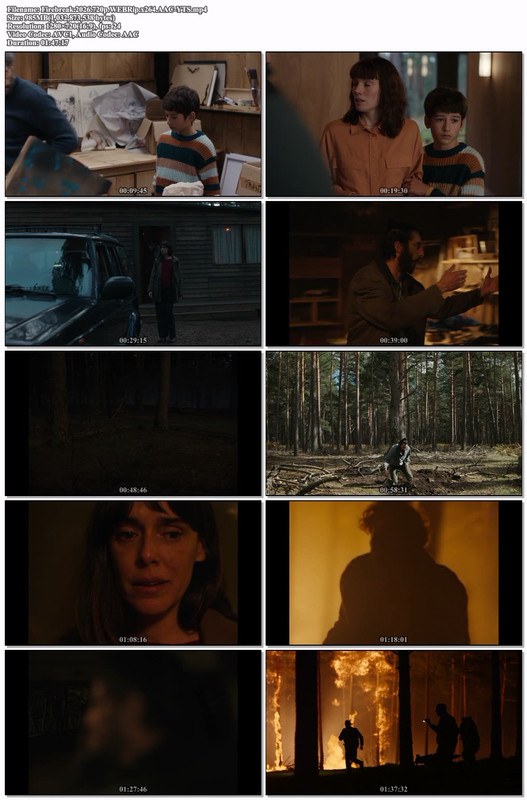 Firebreak 2026 720p WEBRip x264 AAC YTS mp4