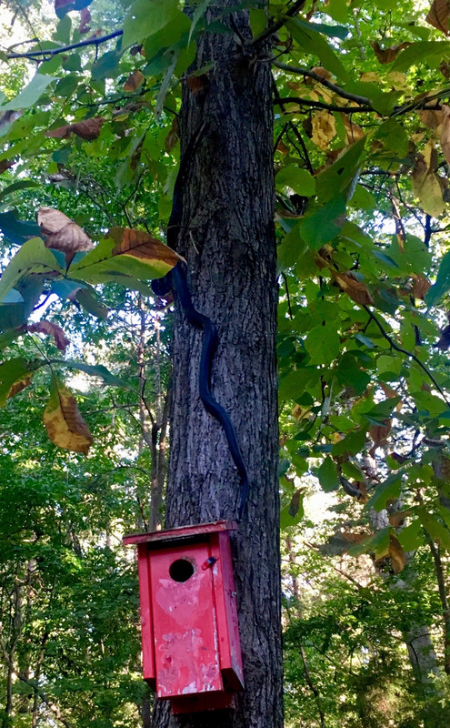 04ED426D-2AB2-4967-8AA5-43B88D49789B