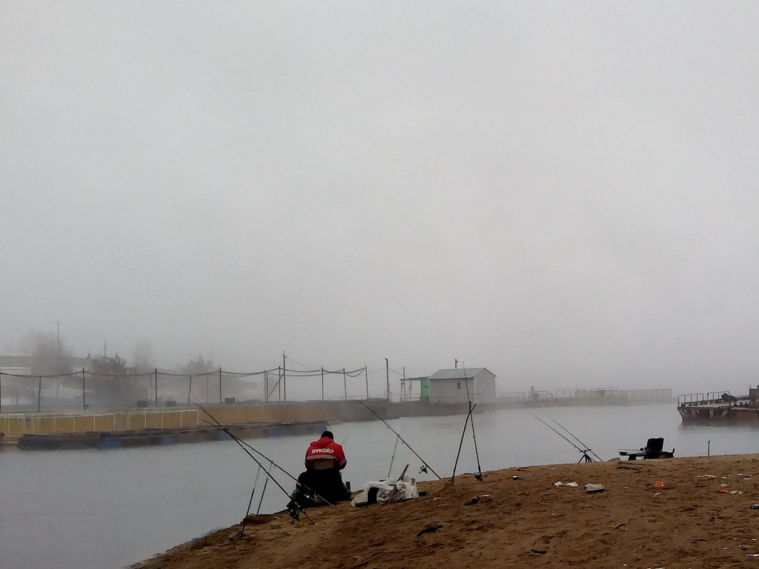 Добрянка 10.11.14г