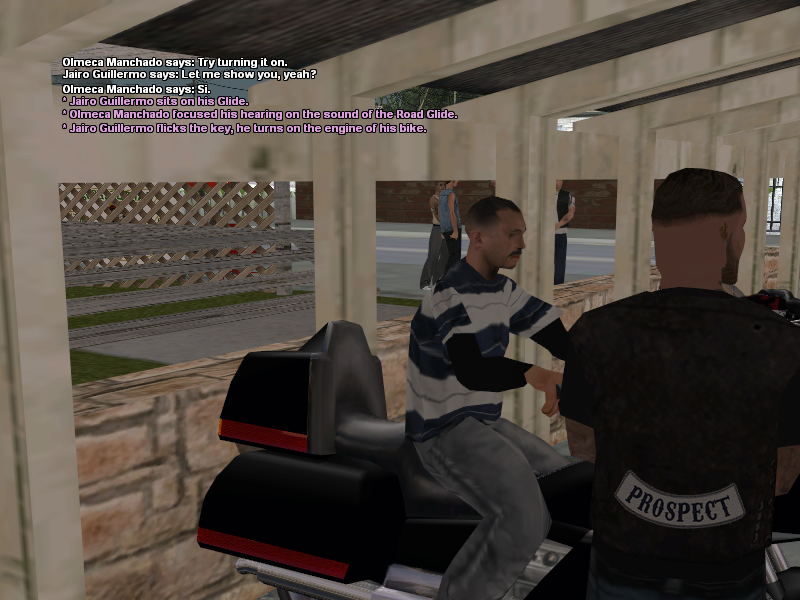 SSRoleplay496.png