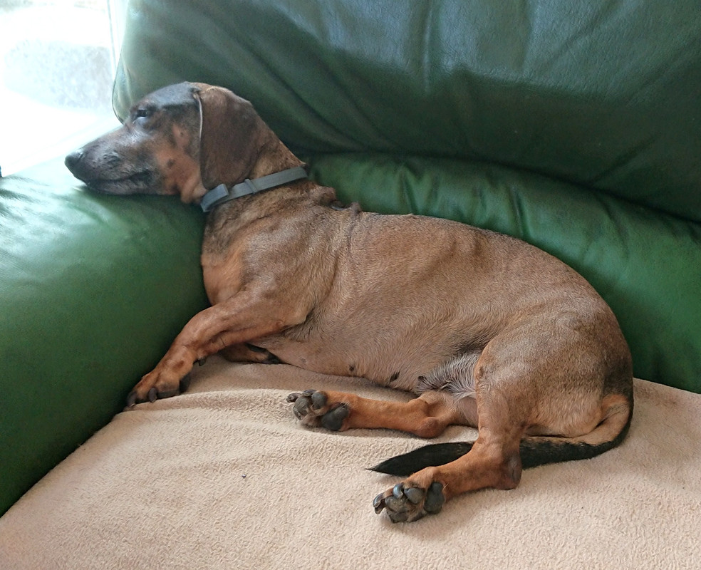 [Image: 20230918-130214.jpg]