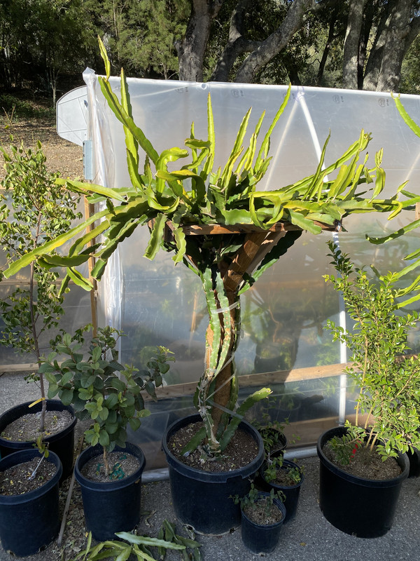 8CCBE78B-5801-4305-B86D-C994DC8BBD15