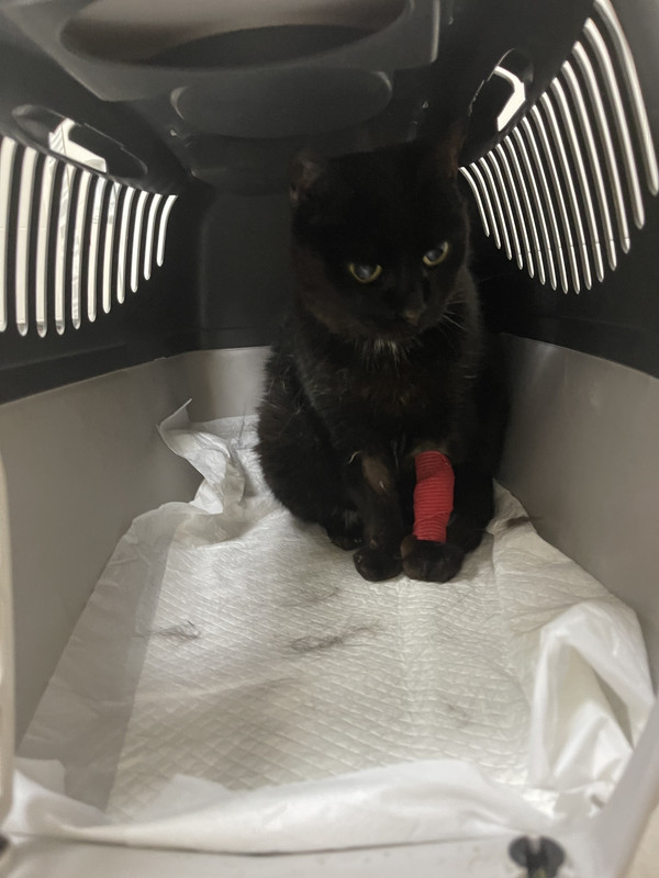 10BE1530-1AAF-48E6-92FC-8E00144C2CEA