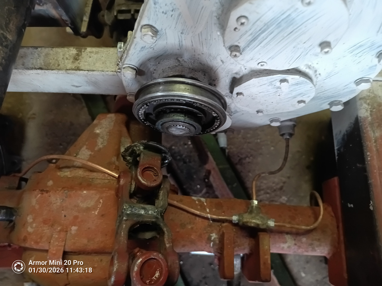 IMG 20260130 114318 215