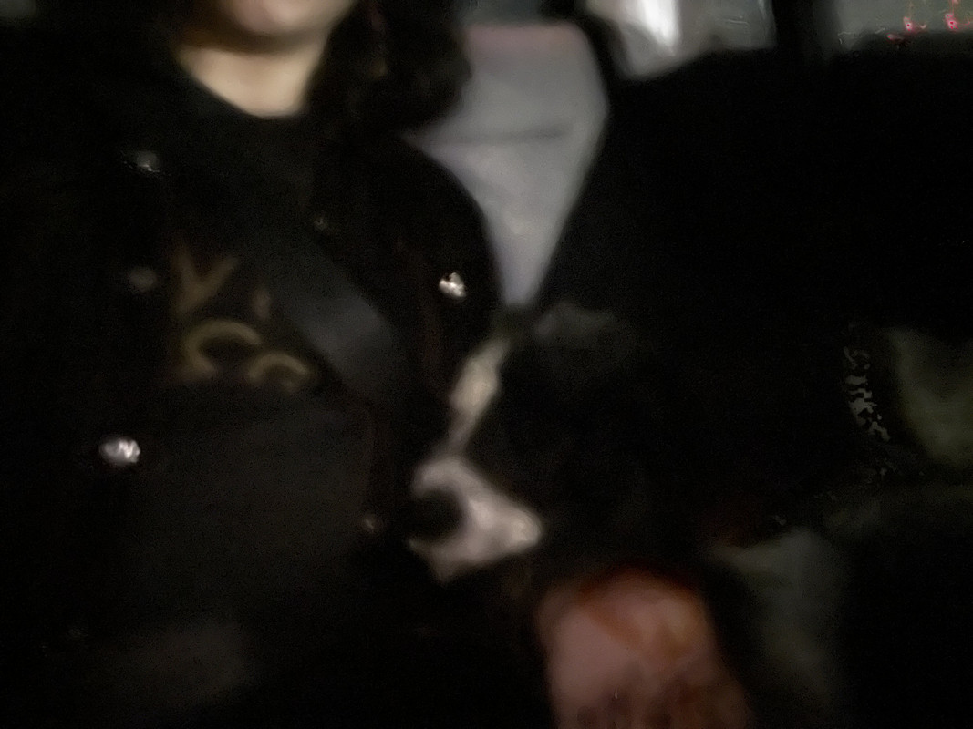 A blurry and dark photo of my dog Athena laying her head on my arm in the car.