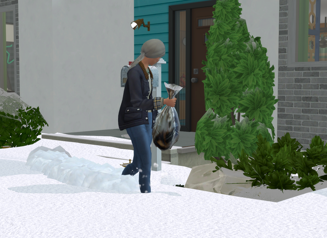 a-Sims2-EP9-RPC-2025-01-06-21-04-29-61