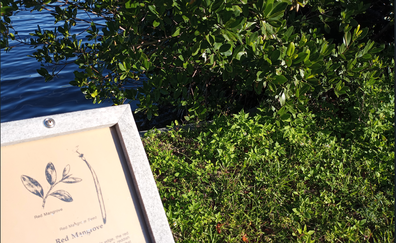 [Image: Tampa13.png]