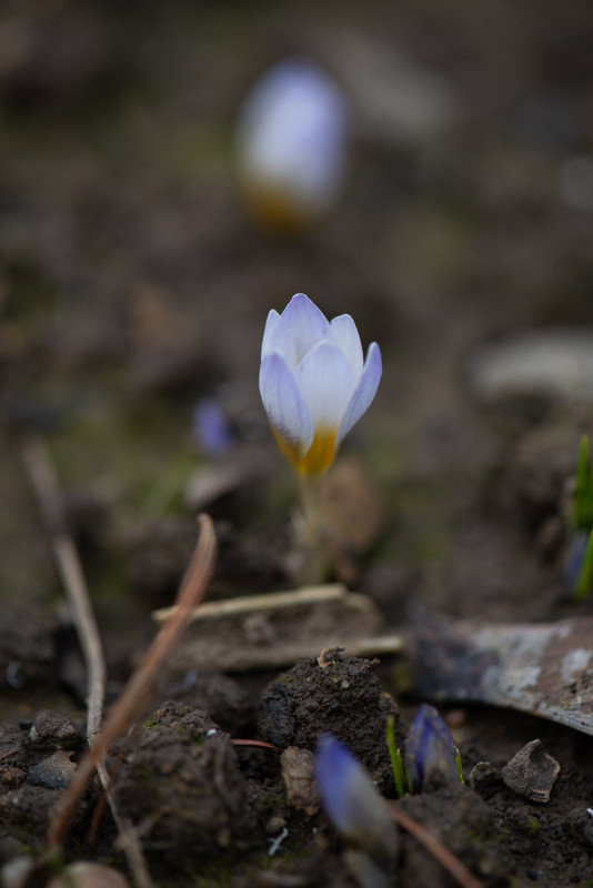 IMG-631cb4e378b7f529902b4f8b0e1d3f36-V
