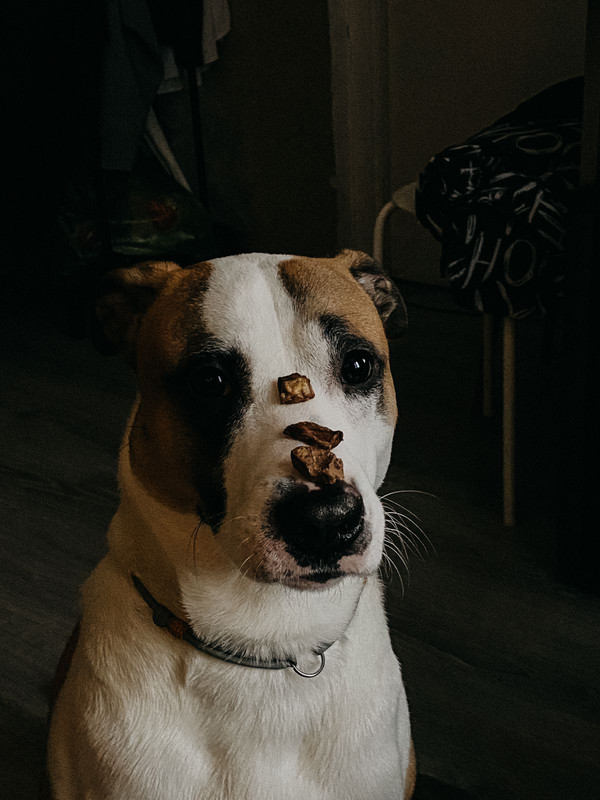 WhatsApp Image 2024-01-09 at 13.16.01 (1)