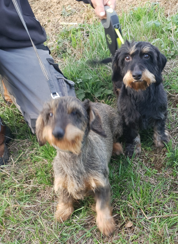 [Image: 20201024-085448.jpg]